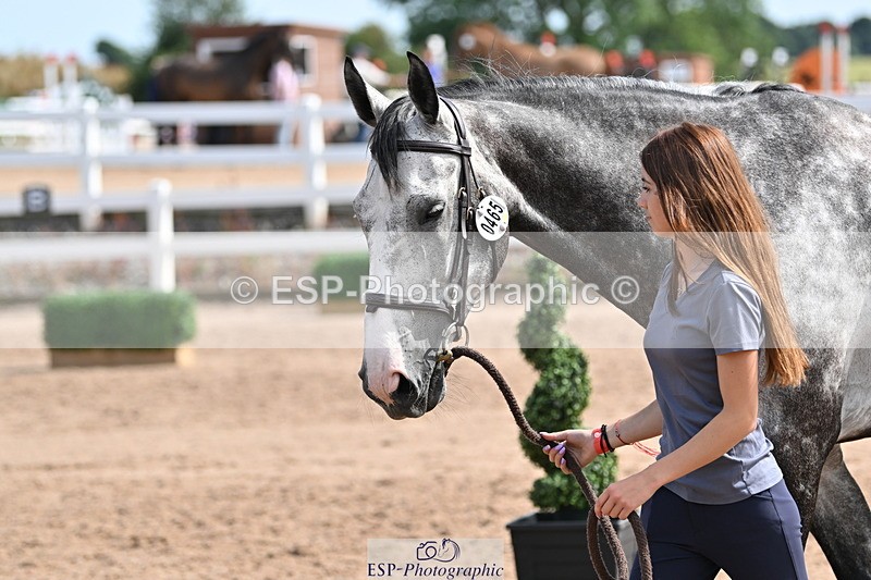 240717A-160926-03328 - Trot Up 4pm to 5pm