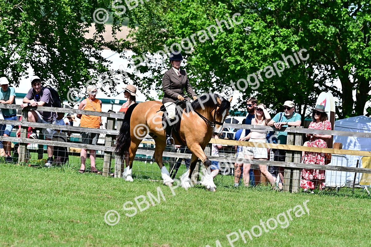 SBM_07999 - Class 61-62 - TSR  M&M Ridden Amateur of the Year