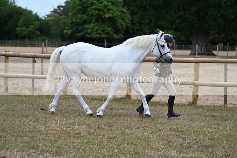 WJ7_8750 - Class 4a Prettiest Mare 14.2hh and over
