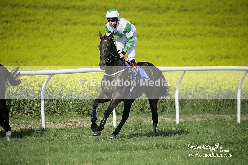 PtP 180422 240 - Old Berkshire PtP Lockinge 18/04/22