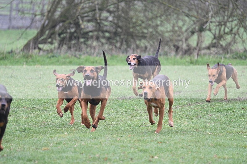 WJ7_0050 - Line 1 cam A