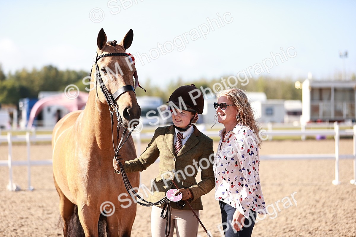 SBM_22095 - Class 703 - IH Coloured