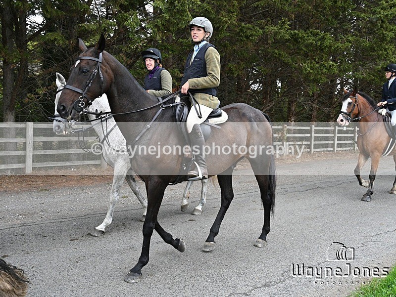 WJ7_1326 - Berks & Bucks Hound Exercise Blewbury 13-09-26
