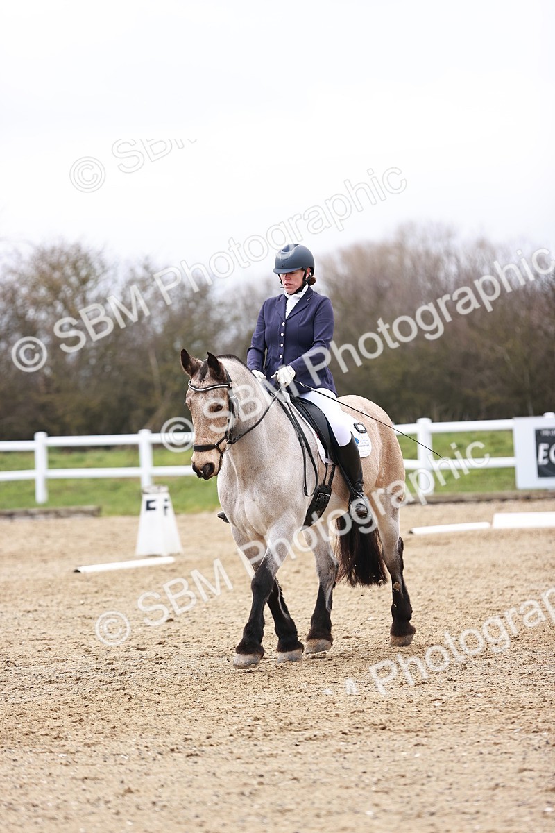 SBM_005207 - Elementary 1