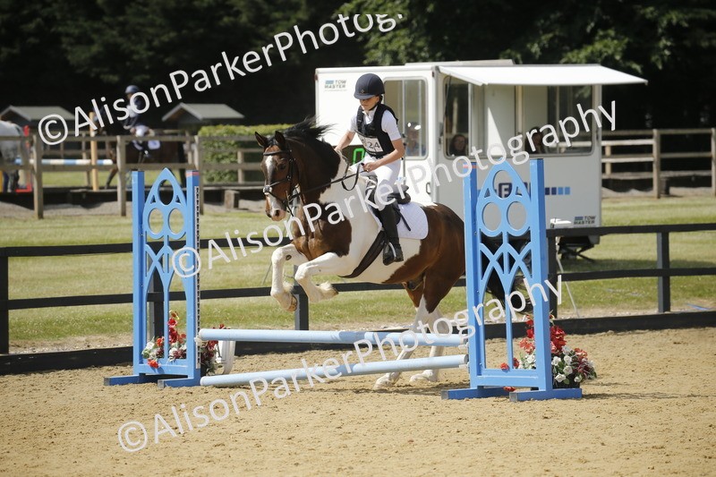 20250622-3881 - 50cm