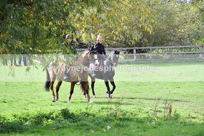 WJ5_0542 - Time 13:59 to 14:28