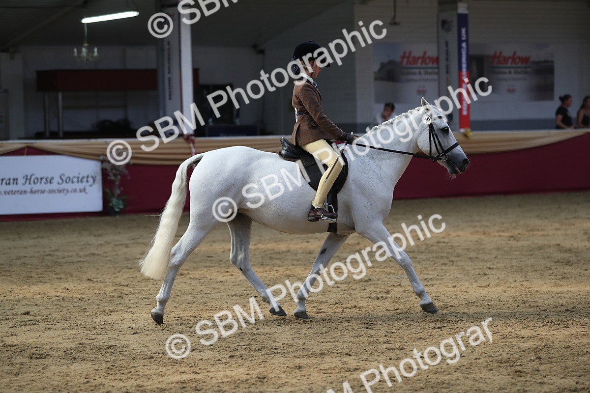 SBM_08401 - Class 11R Regional Ridden Veteran