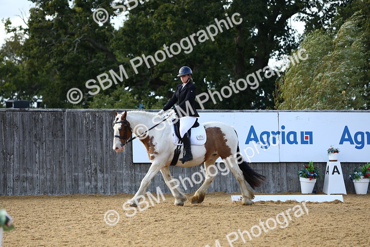SBM_26659 - D11 - Small Tour Championship Prelim 1