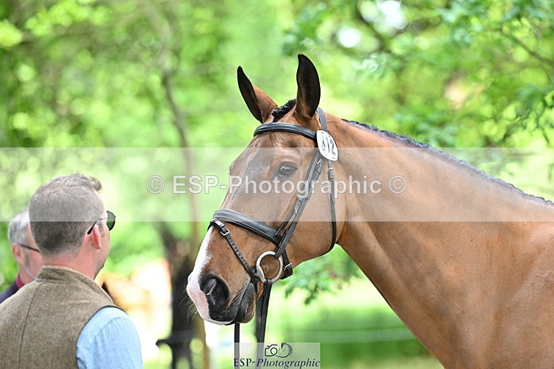 250521A-152544-00502 - B-312-Mark.Davidson-THE.BOSSMAN