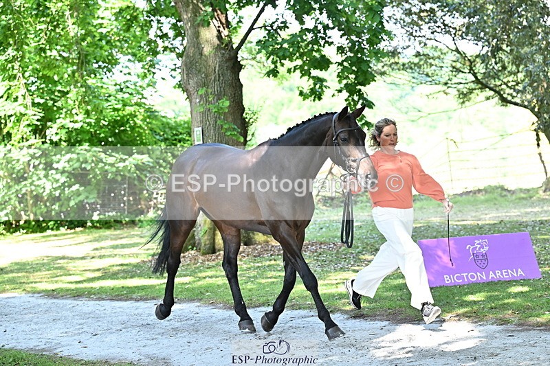 250521A-153517-00612 - B-319-Ali.Wilkes-JAZZ.ROOS