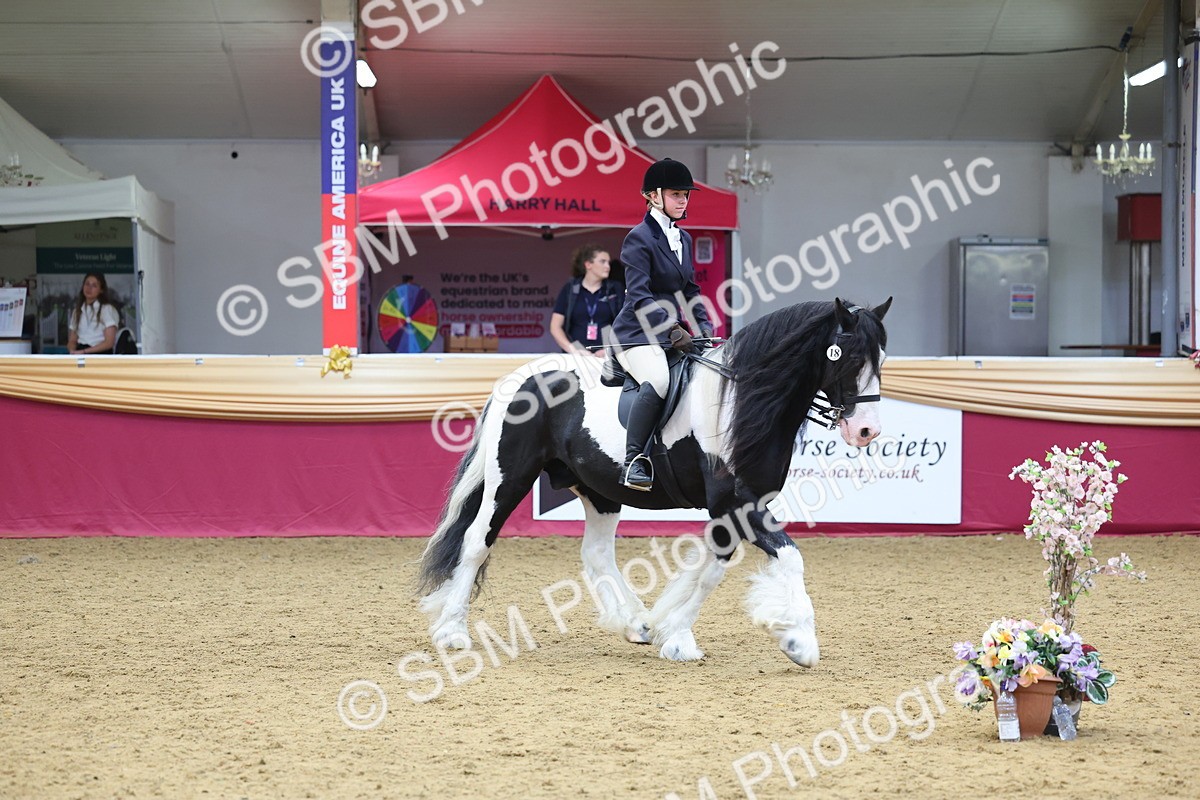 SBM_24426 - Class 906 - Supreme Final - Ridden Pre Vet