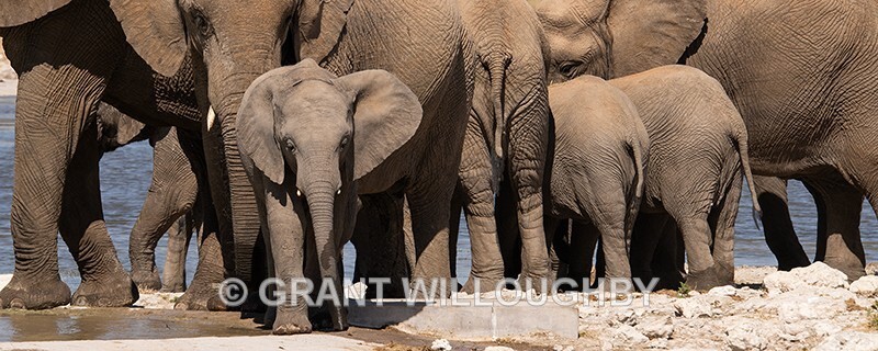  - Namibia