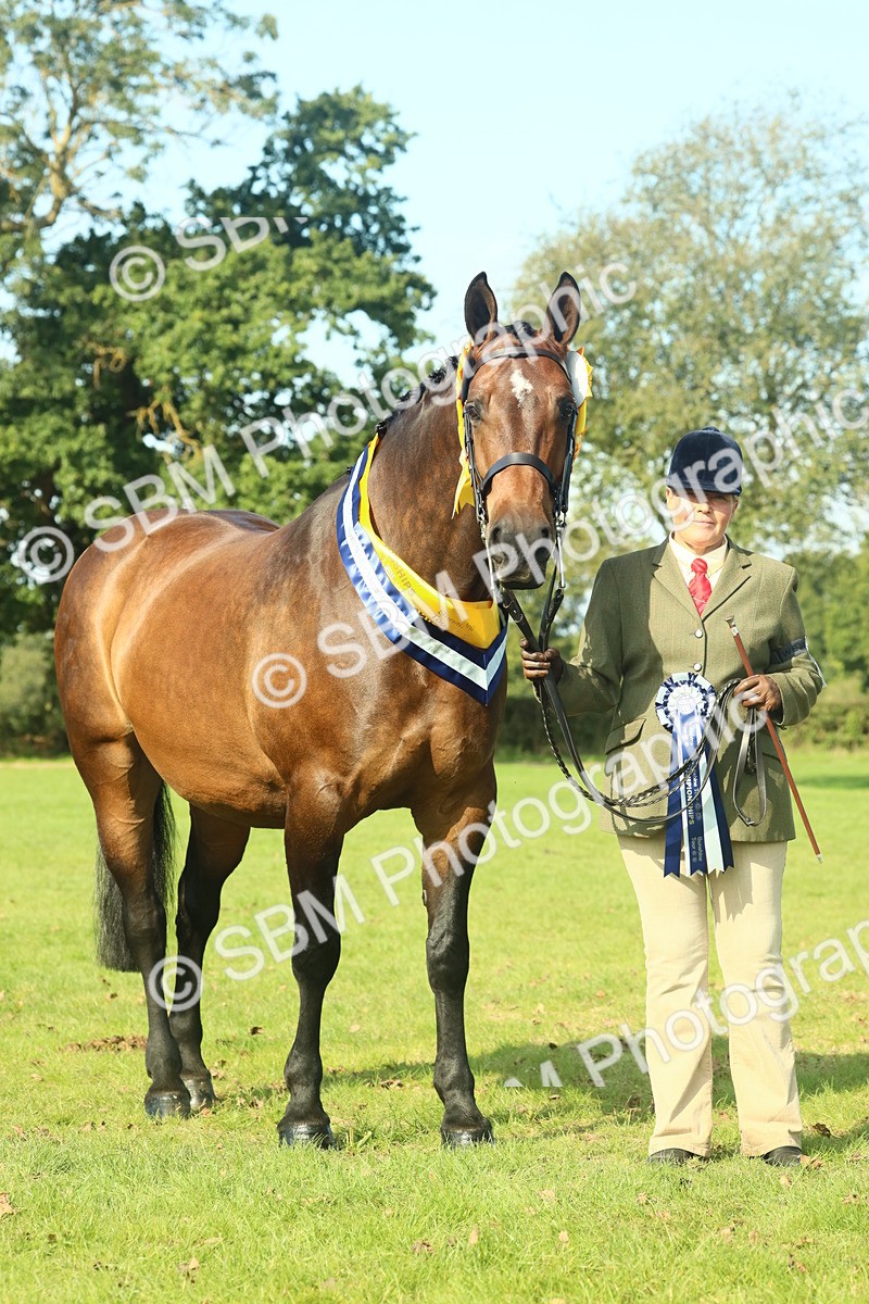 SBM_61171 - Starter Supreme Championship