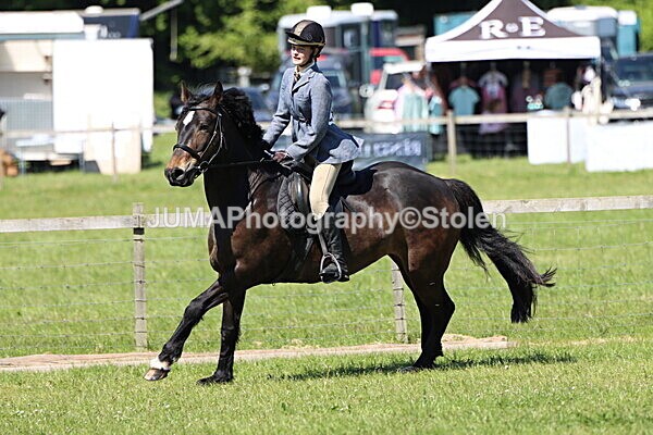 IMG_4019 - Working Hunter