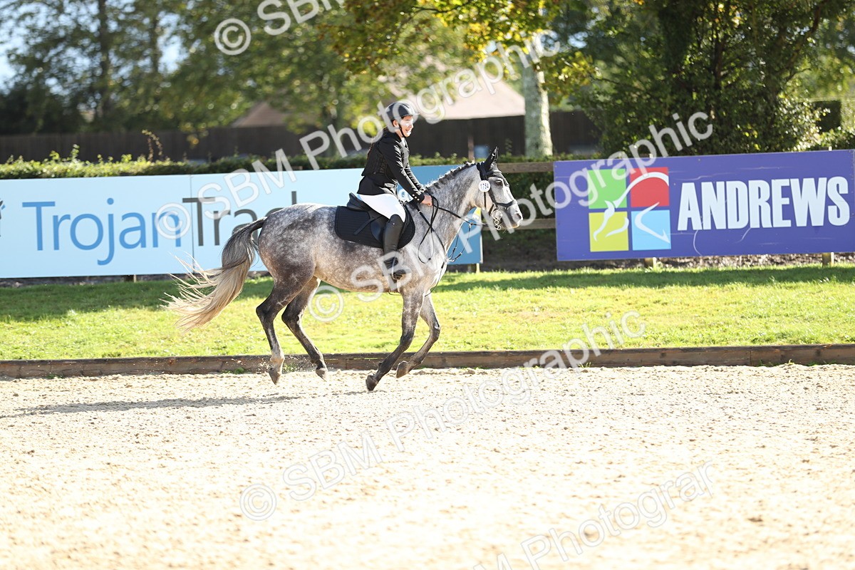 SBM_37401 - J20 - Junior Horse 50cm Championship