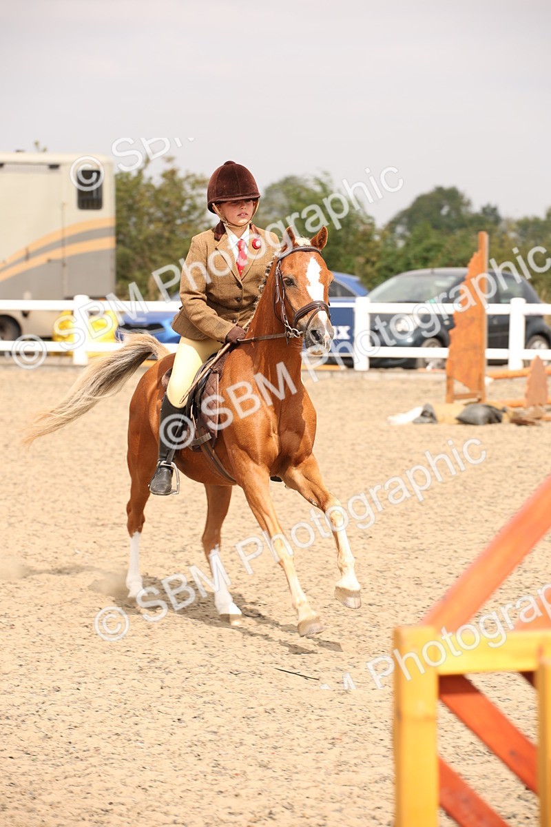 SBM_12618 - Class 405b - M&M Working Veteran 50cm 20+