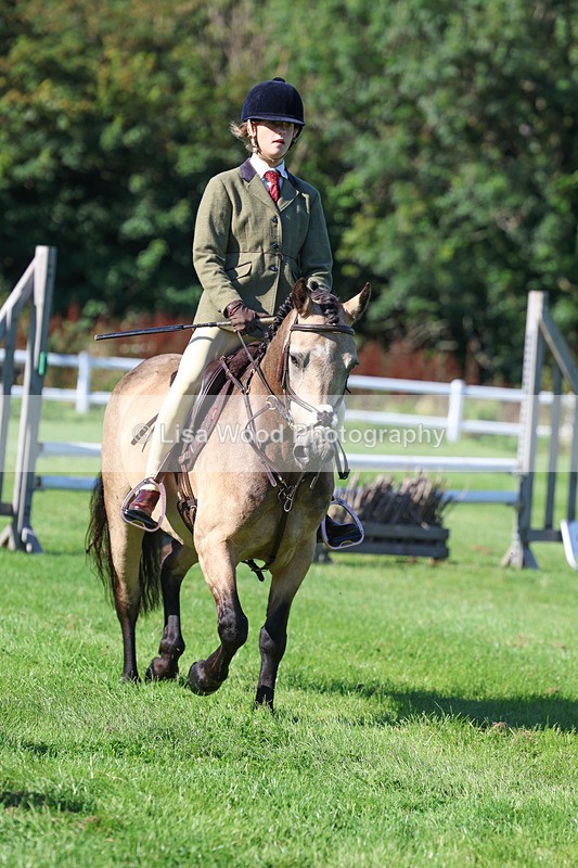 3E7A7754 - Class 2: Open Working Hunter pony