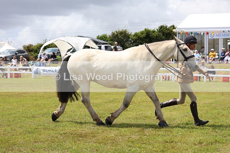 3E7A2262 - Class 10: Open Cob
