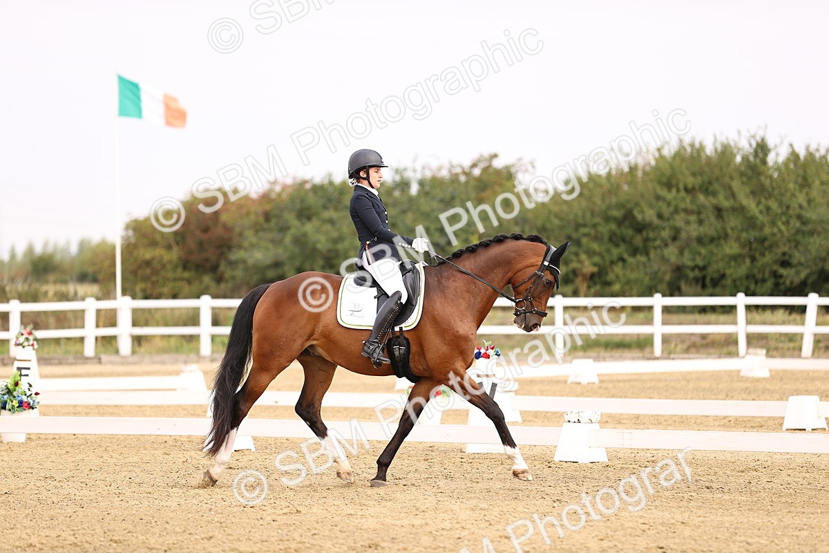 SBM_011667 - Class 1 - Medium 5