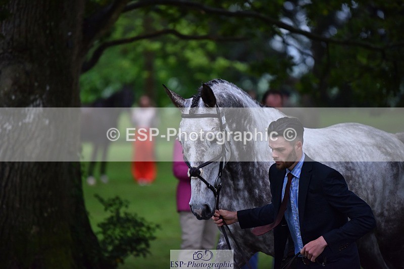 240522-162504-00899 - 202-WHIXLEY_QUALITAS-Barnie_Brotherton