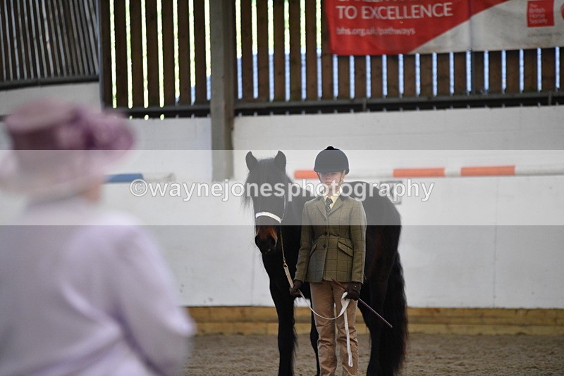 WJ5_4464 - Class 6 In hand M&M - Large Breeds