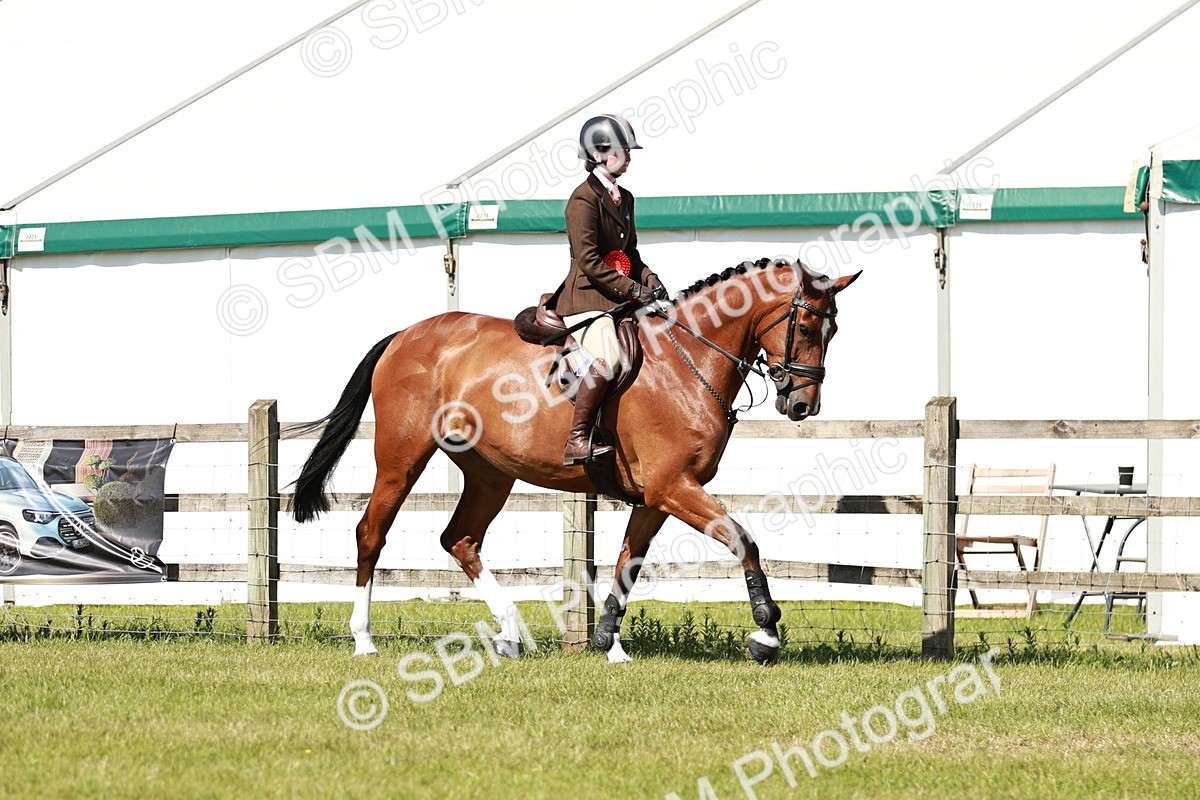 SBM_18504 - Class 112-113 - BSPS LIHS Working Sports Pony