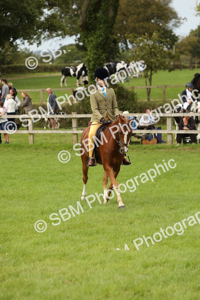 SBM_71641 - S41 - Ridden Equitation (Best Rider)