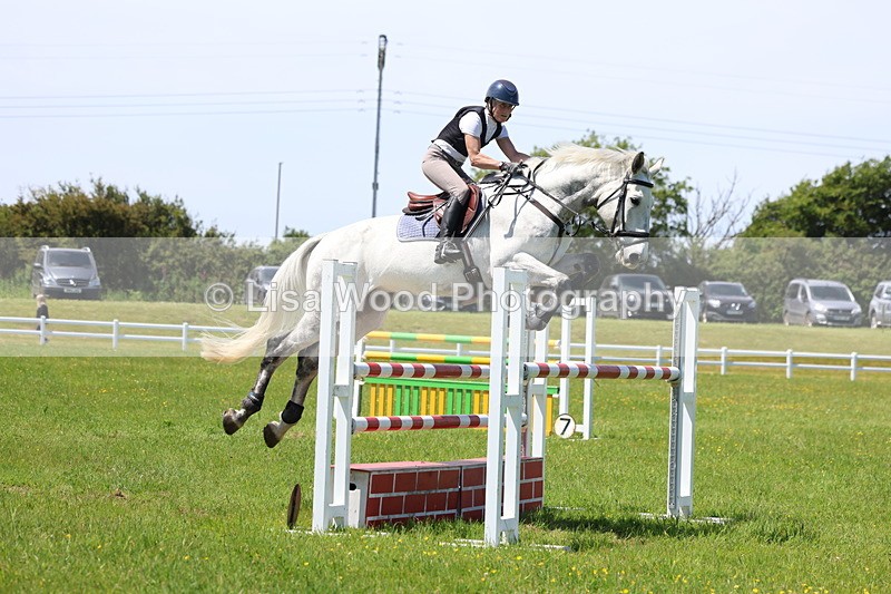3E7A1235 - Class 12: Senior Foxhunter/1.20 open