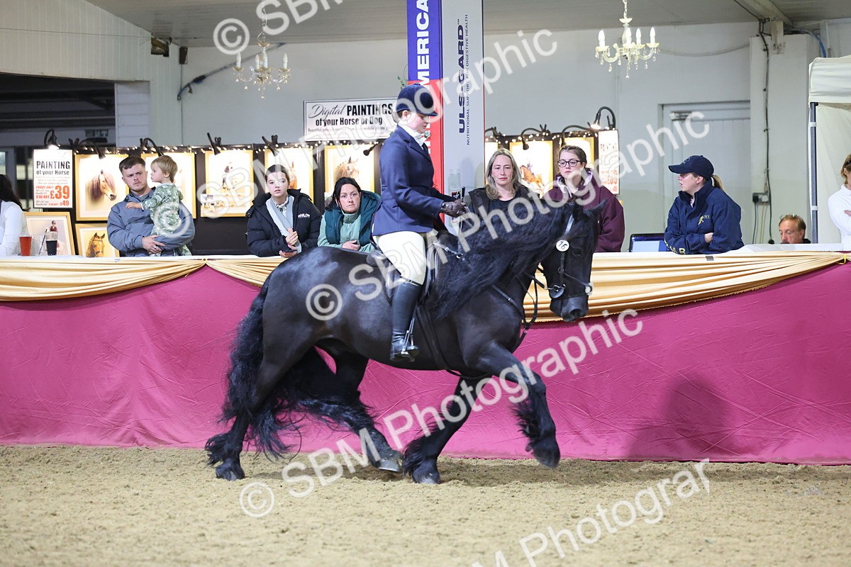 0B8A4675 - Class R Working Veteran Champ