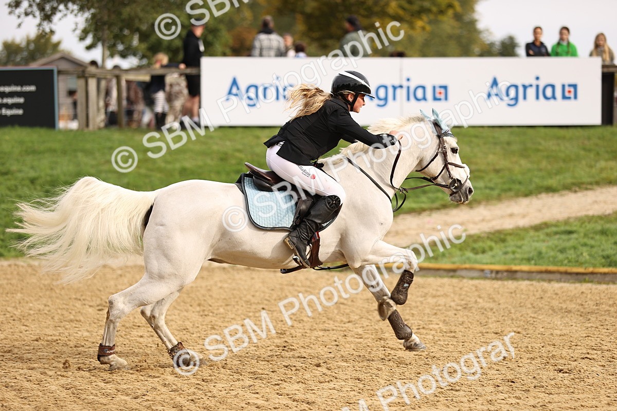 SBM_58184 - J41 - Grand Tour Horse & Pony 95cm