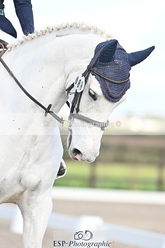 231105-131608-01260 - Cls 7 Prelim 13