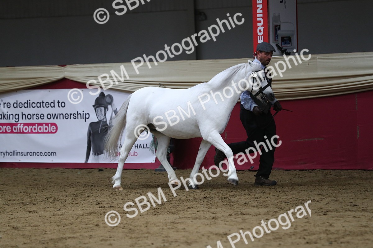SBM_06339 - Class 9R Regional- IH Pre Vet