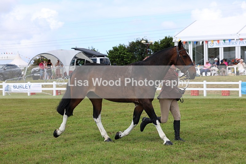 3E7A0101 - Class 5: Rising Star Lightweight/Heavyweight Cobs