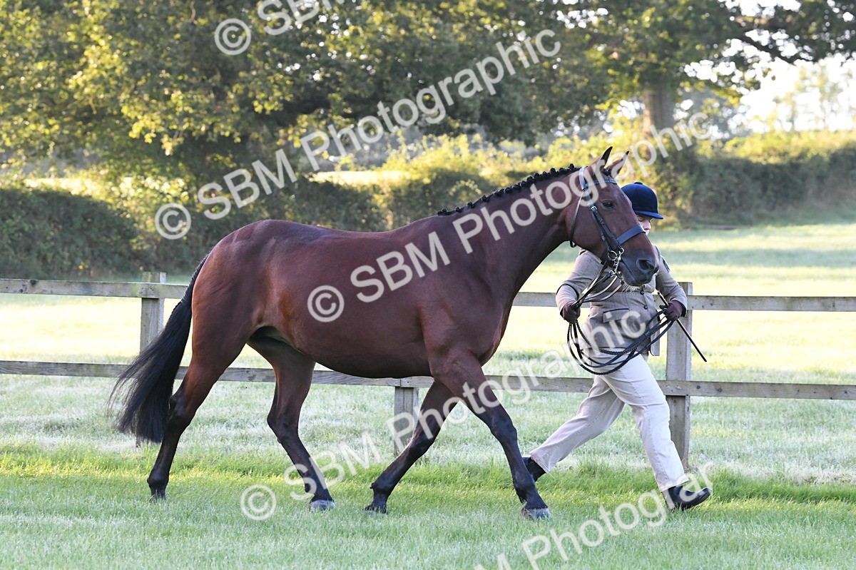 SBM_32536 - S15 - Condition & Turnout In Hand