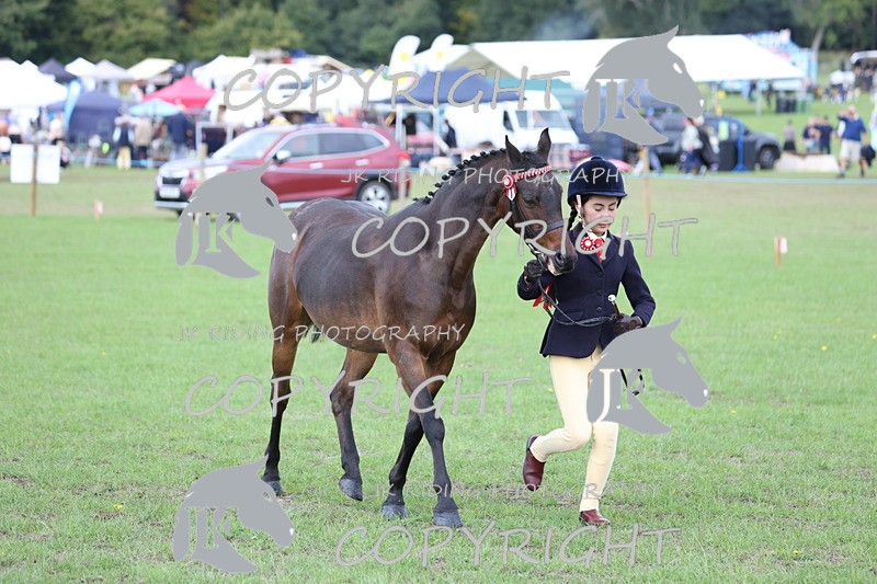 APP_2636 - Class 9 Veterans in hand