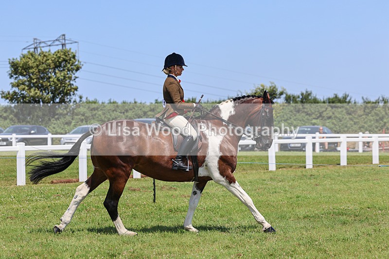 IMG_2568 - Class 38: Veteran Ridden
