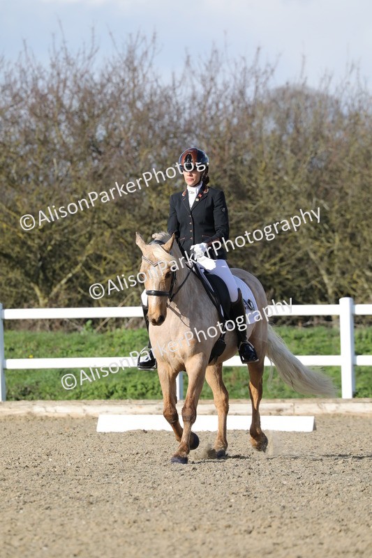 20260314-5790 - DR 7 - Elementary 1