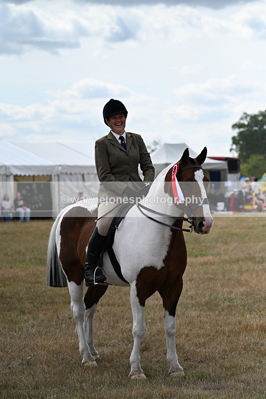 WJ7_5541 - Class 12 Ridden Cob