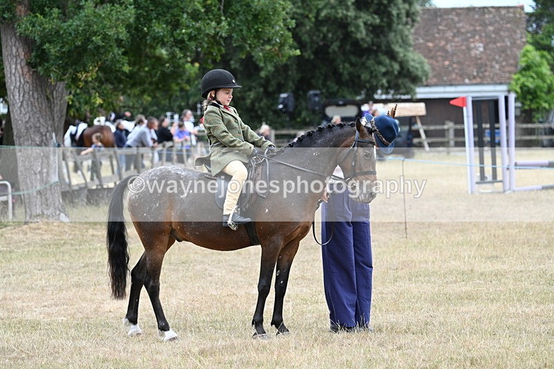 WJ7_0438 - Class 6 Ridden Mountain and Moorland