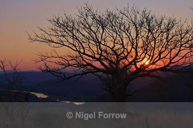 African Sunset - South Africa