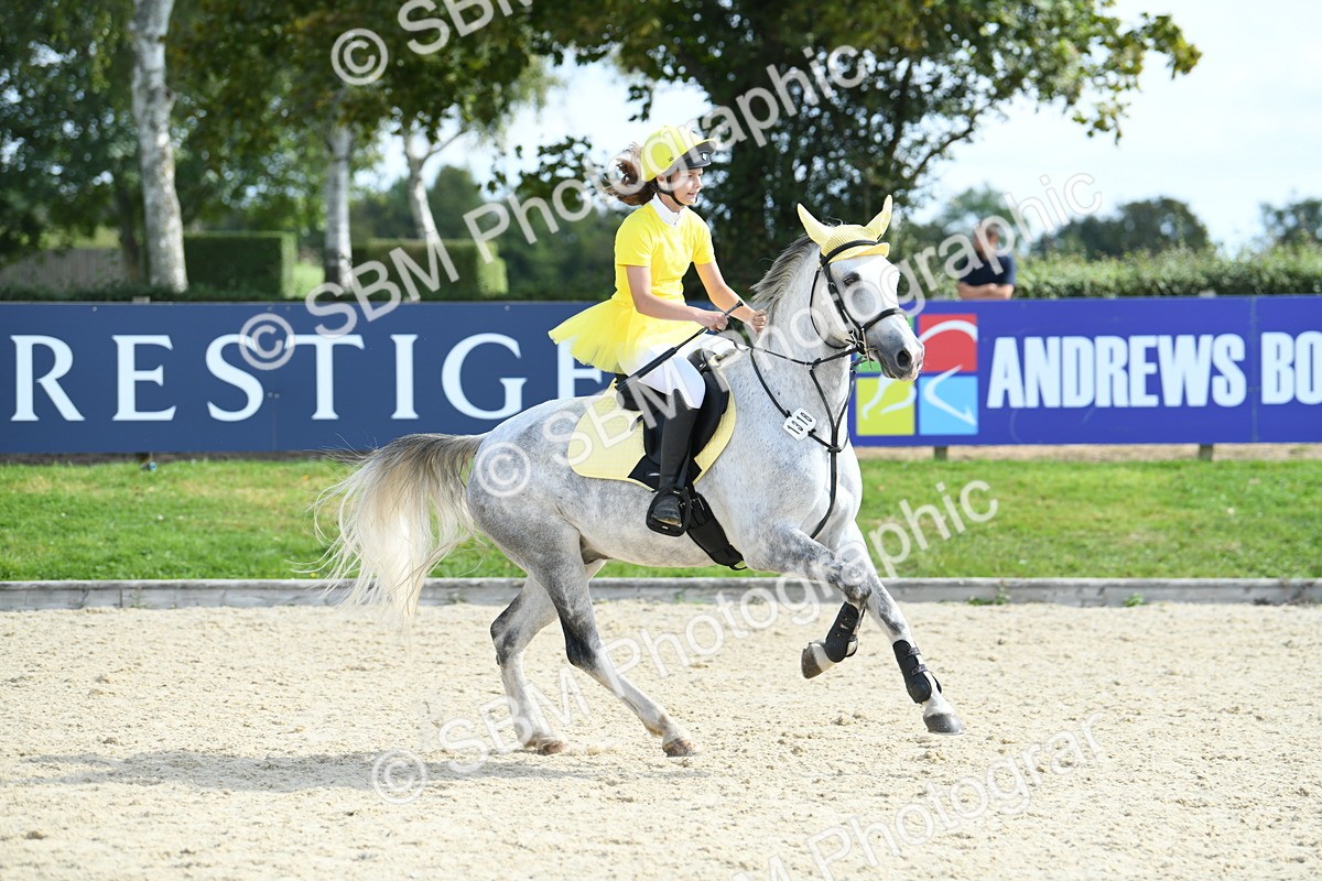 SBM_64783 - J48 - Pairs Jumping Open 70cm & 85cm