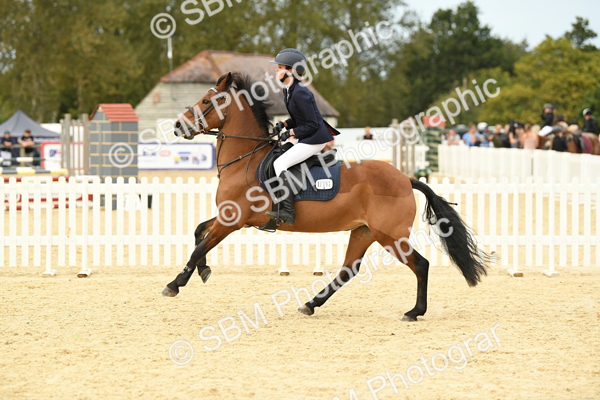 SBM_72932 - J16 - Junior Pony 75cm Championship