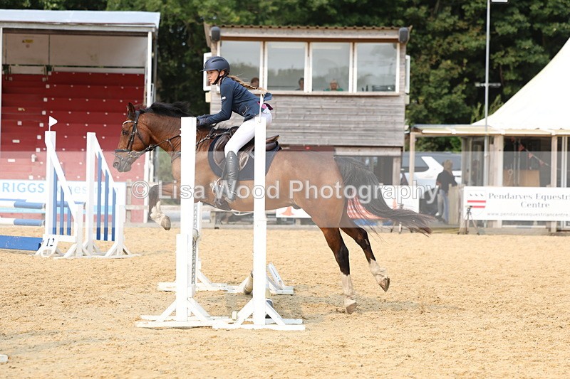 3E7A3024 - Class 13: Pony British Novice/80cm open