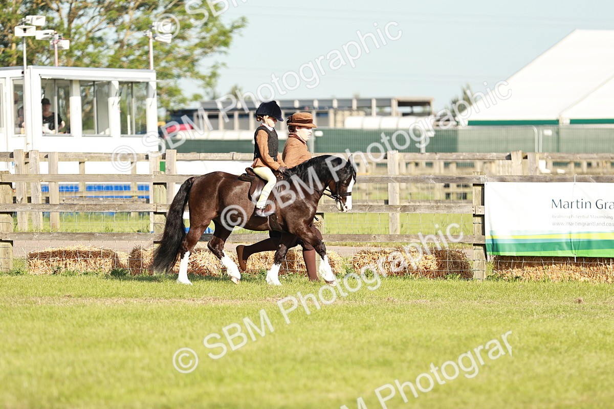 SBM_11046 - Class 106-107 - BSPS LIHS Working Sports Pony