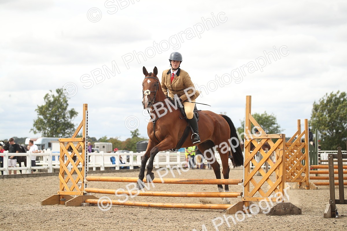 SBM_16780 - Class 507b - Working Veteran 60cm (20+)