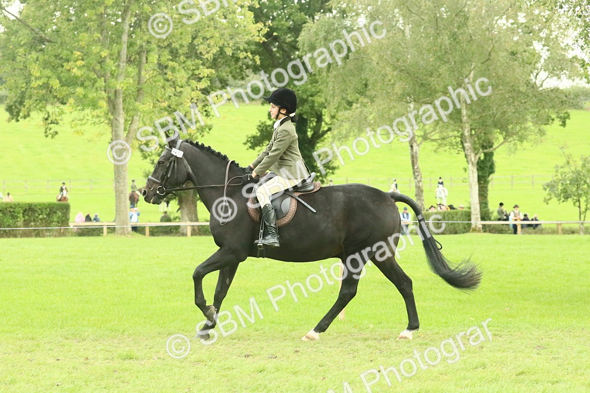 SBM_73985 - S 61 - Show Pony & Show Hunter Pony Ridden