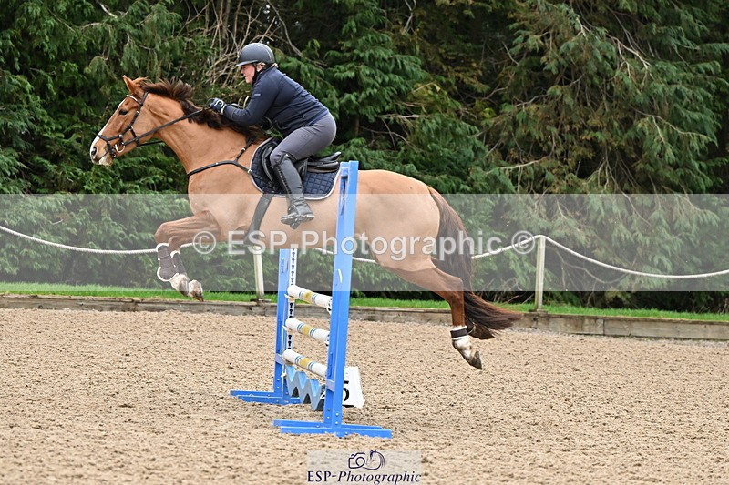 250201A-110839-00340 - Cls 02 Local Horse 100cm