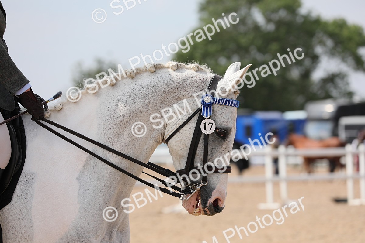 SBM_13382 - Class 308 Ridden Coloured Horse