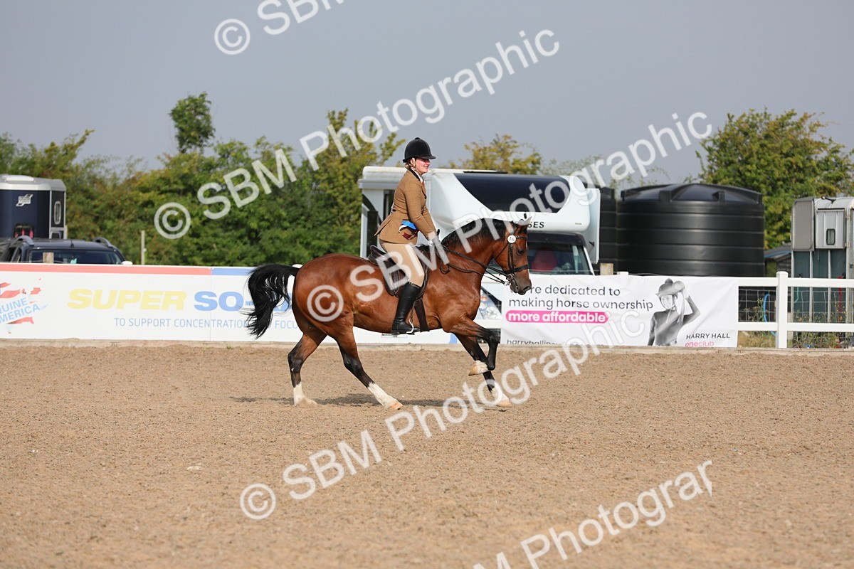 SBM_10184 - Class 302 Ridden M&M -Large Breeds