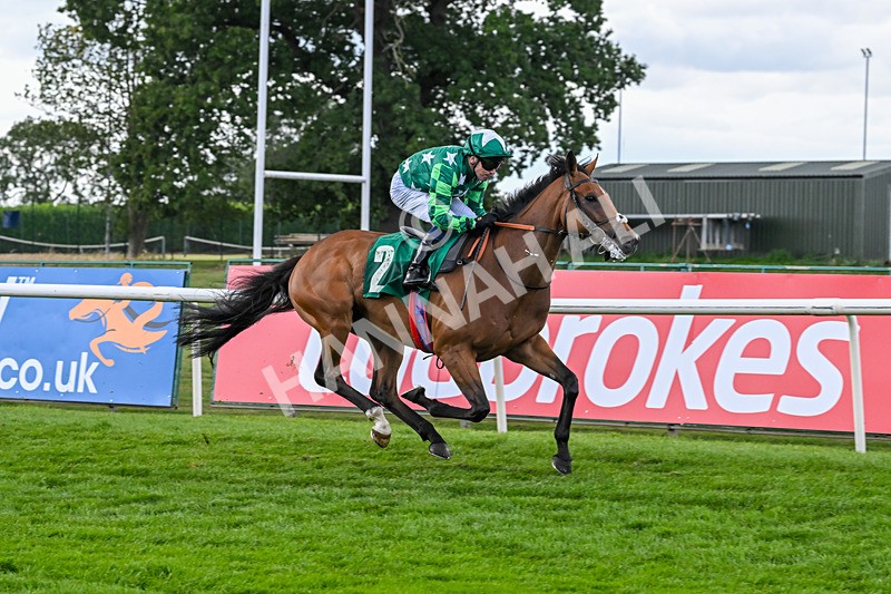 080825-Race 5-Paddy The Squire-2682 - Race 5